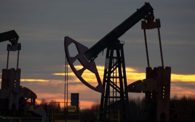 New Oil Traders Fill Void as Top Names Abandon Moscow Ties